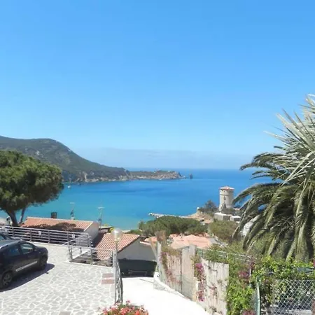 Giglio 2 *